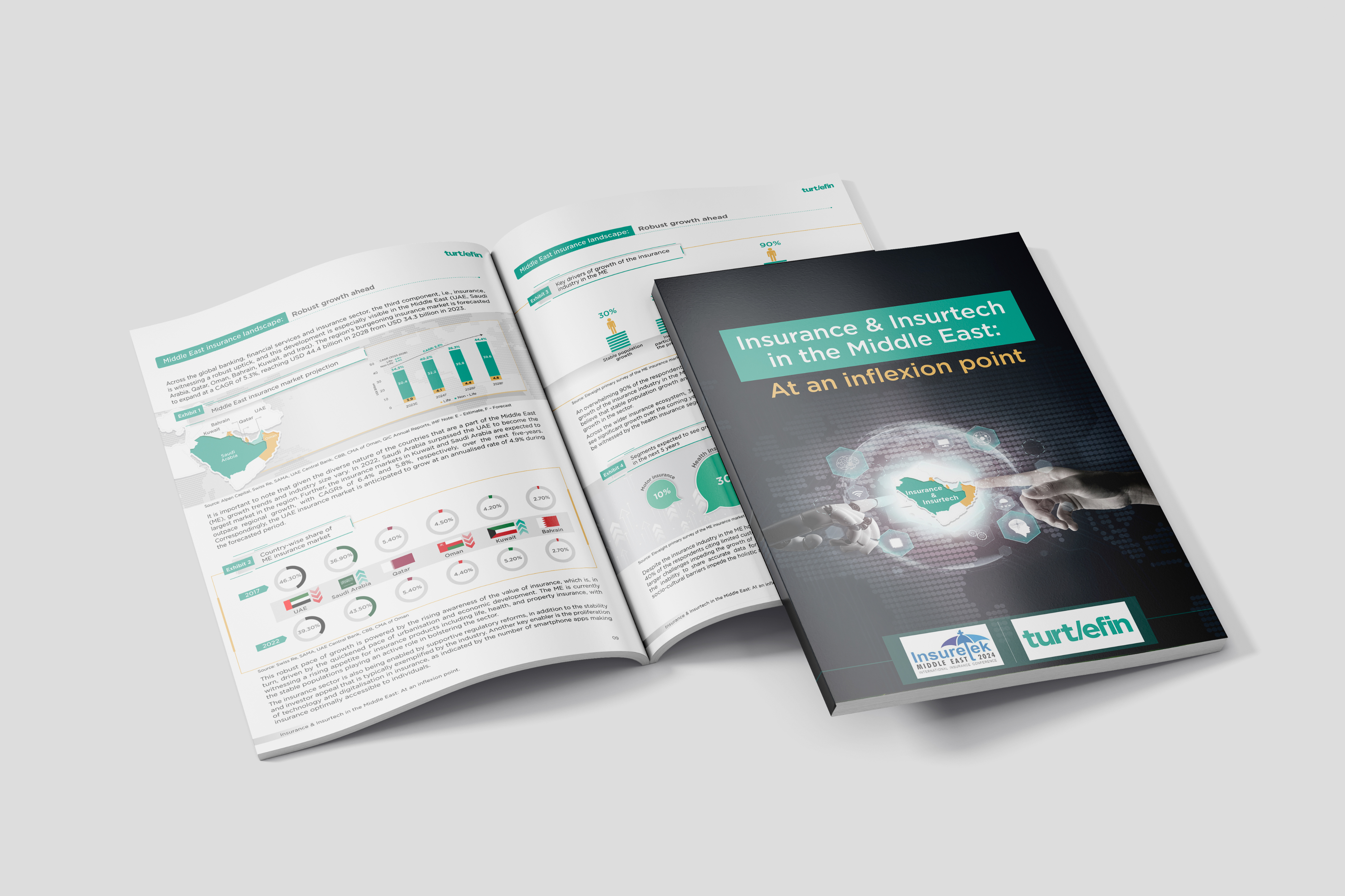 Turtlefin - Insurance Report